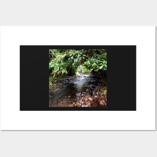 Quiet Mountain Stream Posters and Art